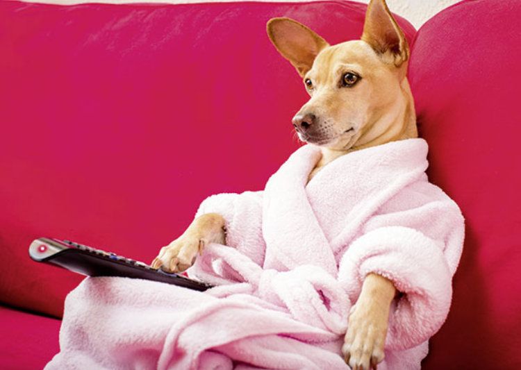 Warum wir immer wieder tun, was wir tun