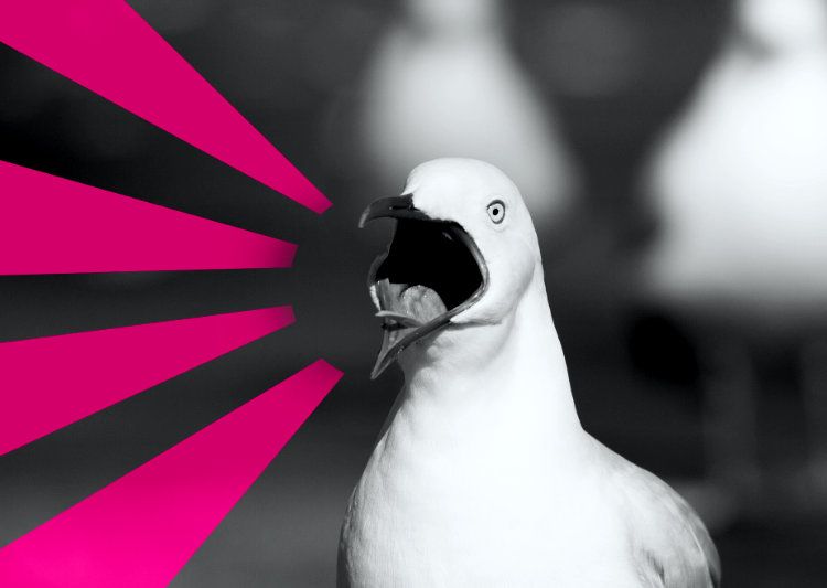 Lautstark im Job? – Was tun, wenn der Chef schreit?