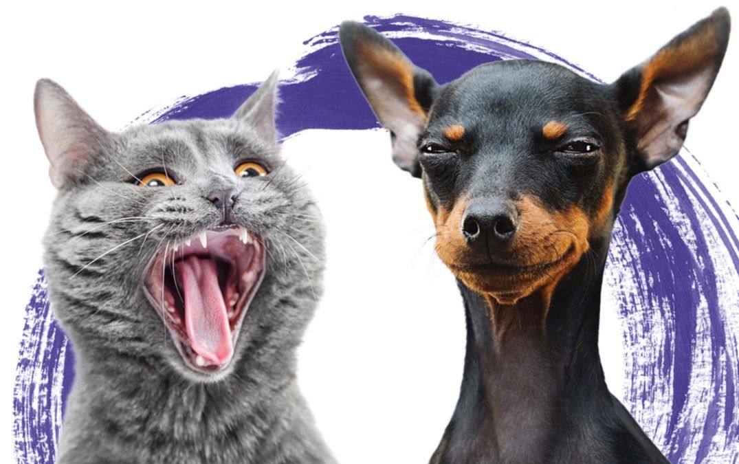 Du machst mich verrückt!